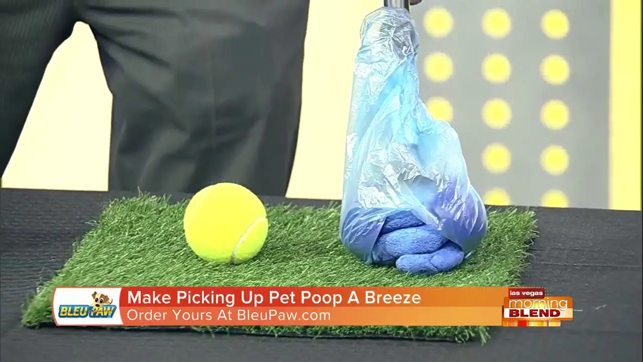 Best Way to Pick Up Dog Poop