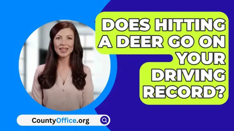 Does Hitting a Deer Go on Your Driving Record