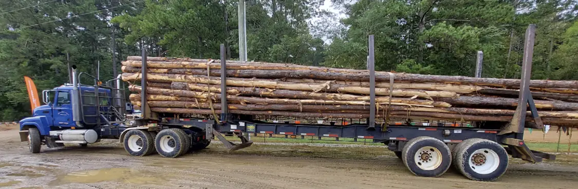 How Much Do Log Truck Drivers Make