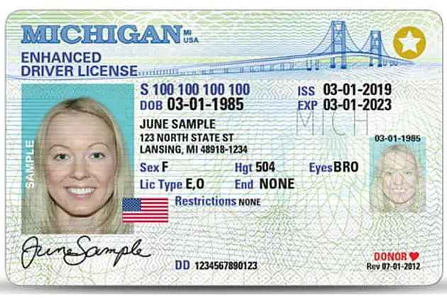 What Does License Type E Mean Michigan