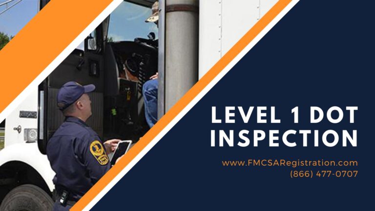 What is a Level 1 Dot Inspection