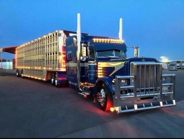 Why Do Cattle Haulers Drive So Fast