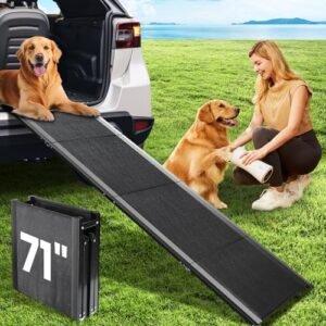 Best Dog Ramp for Truck Side Door